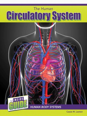 cover image of The Human Circulatory System